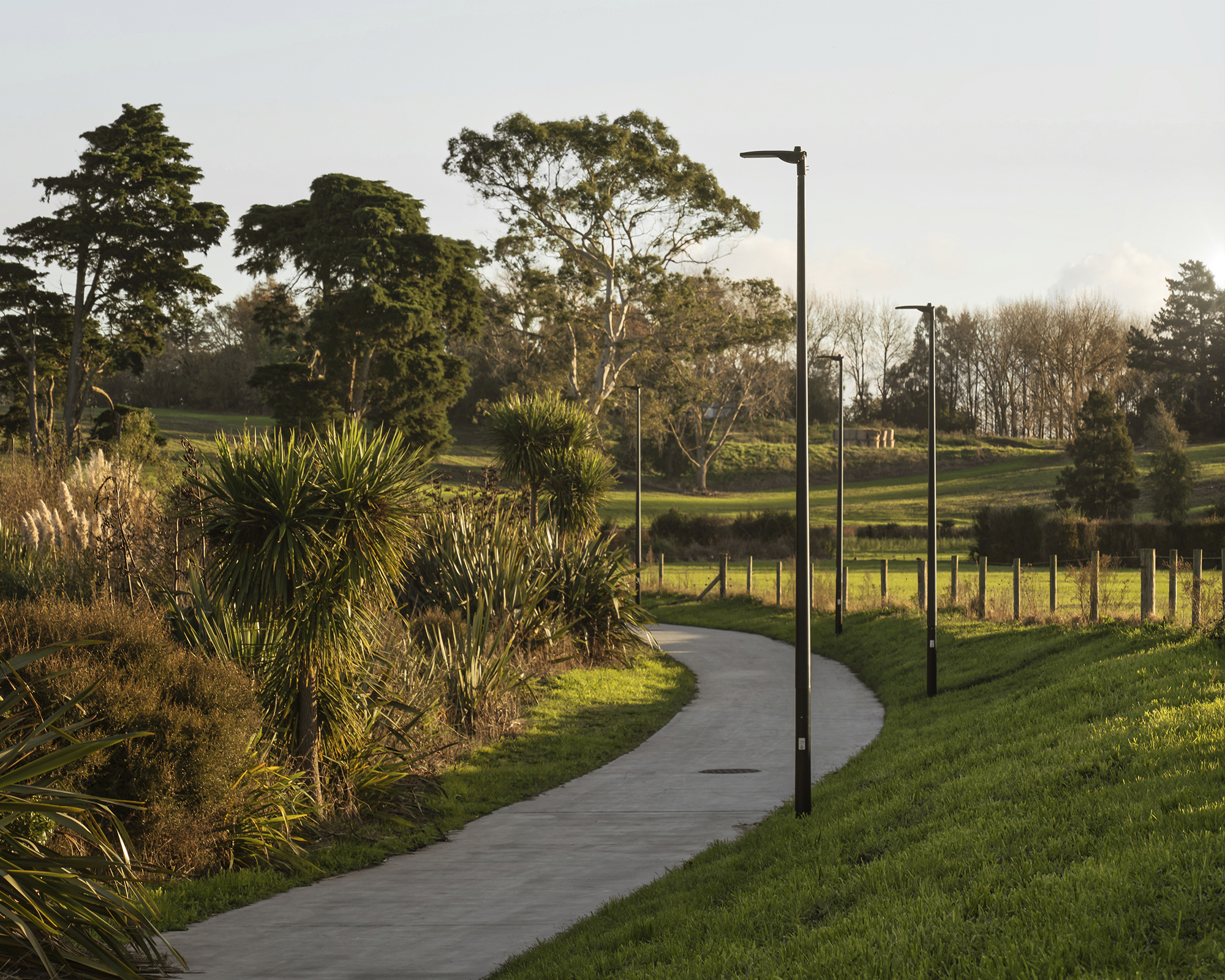 A cycling path leading to a grassy field illuminated by ibex Lighting.