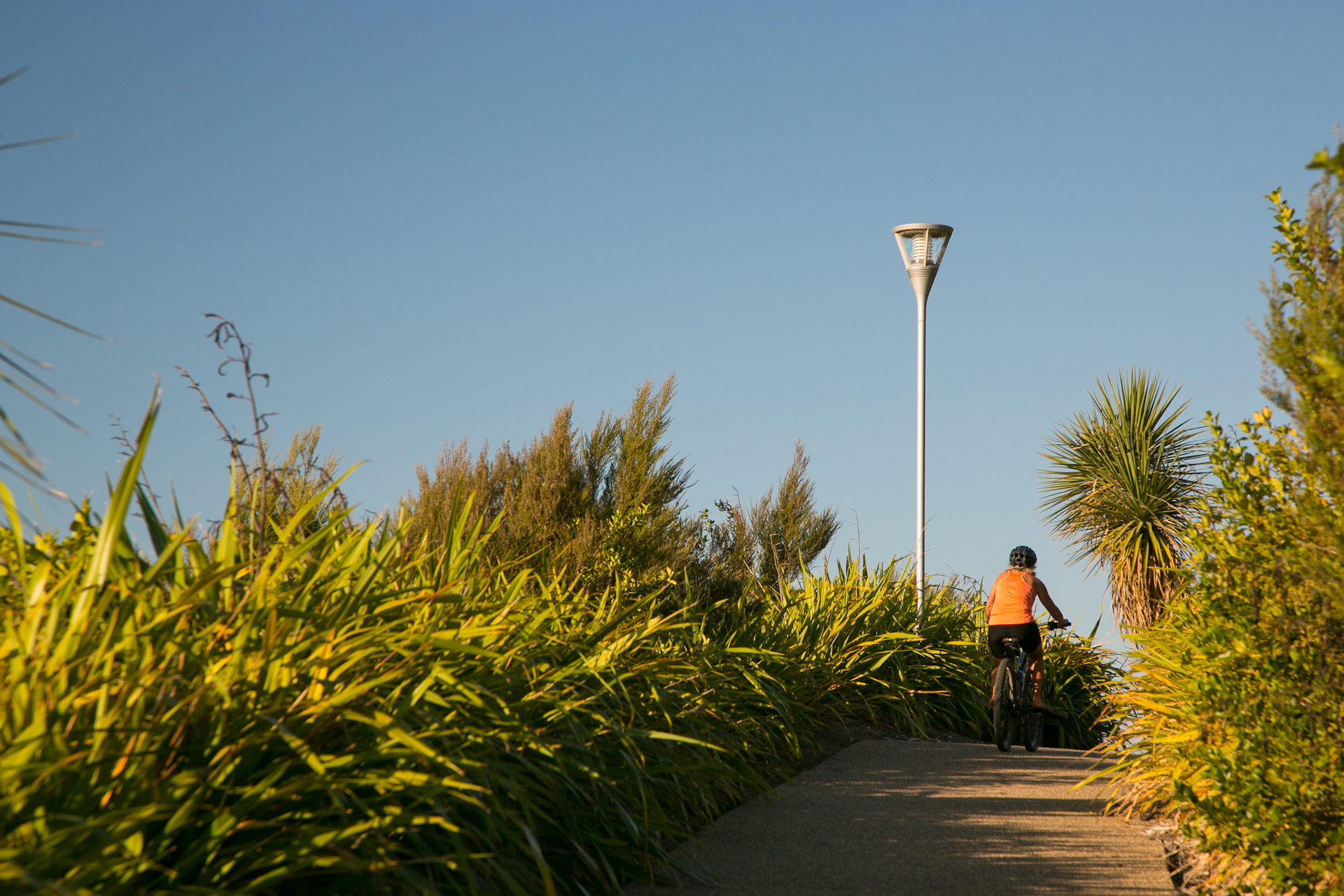 The Lakes walkway illuminated by ibex lighting solutions.