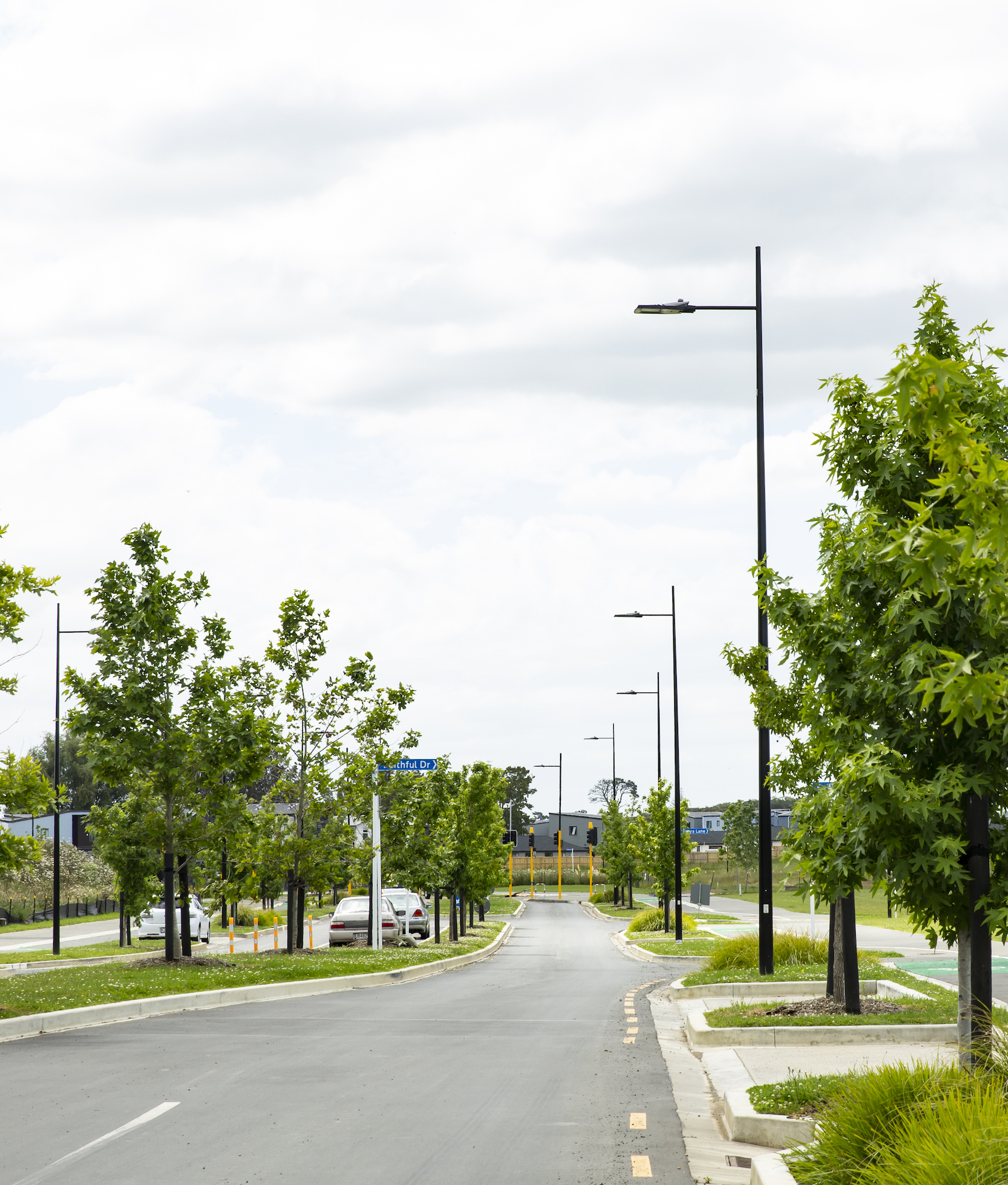 Auranga tree-lined street, presenting Ibex Lighting's lighting solution.