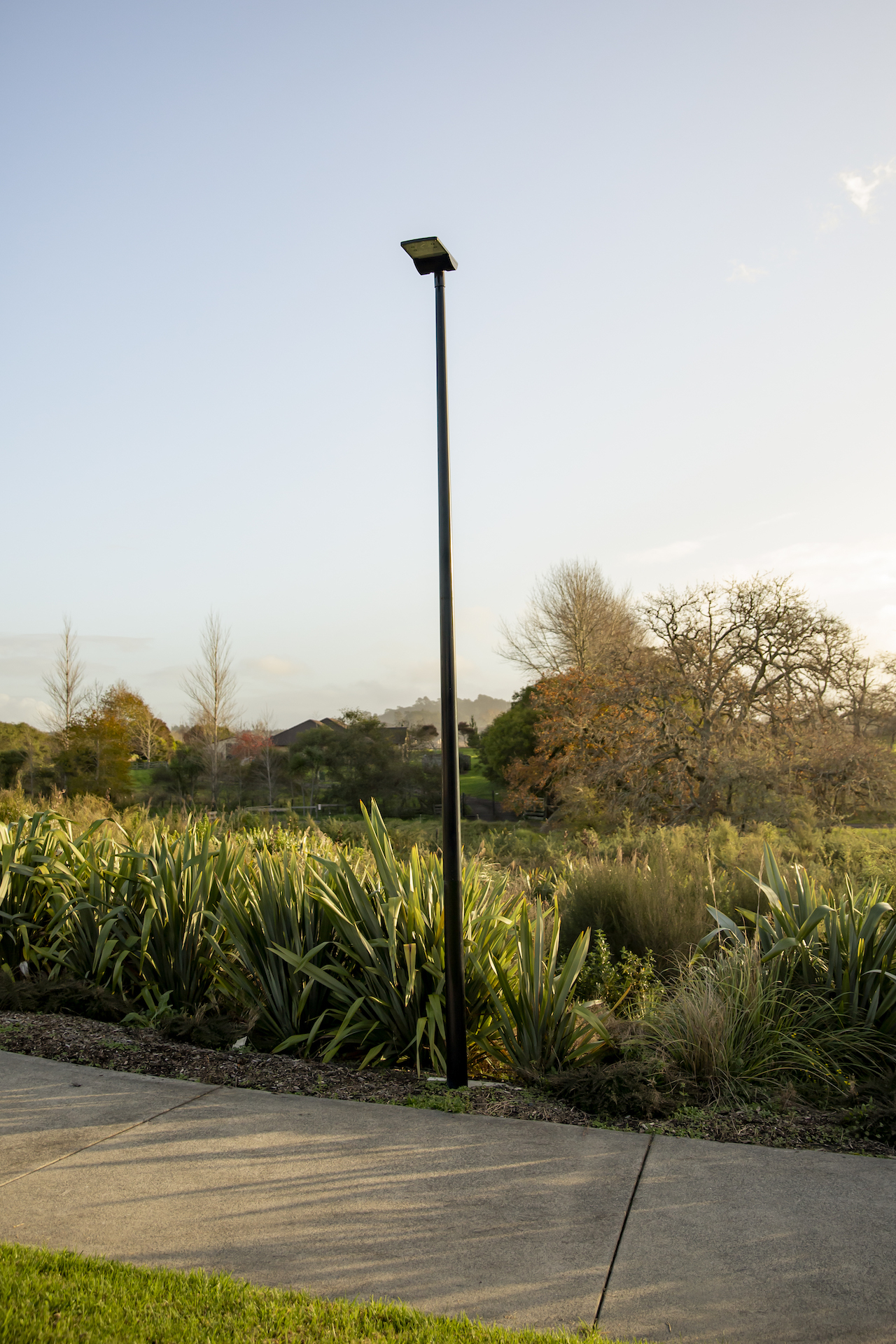 Milldale pathway light pole illuminated by ibex lighting solutions.