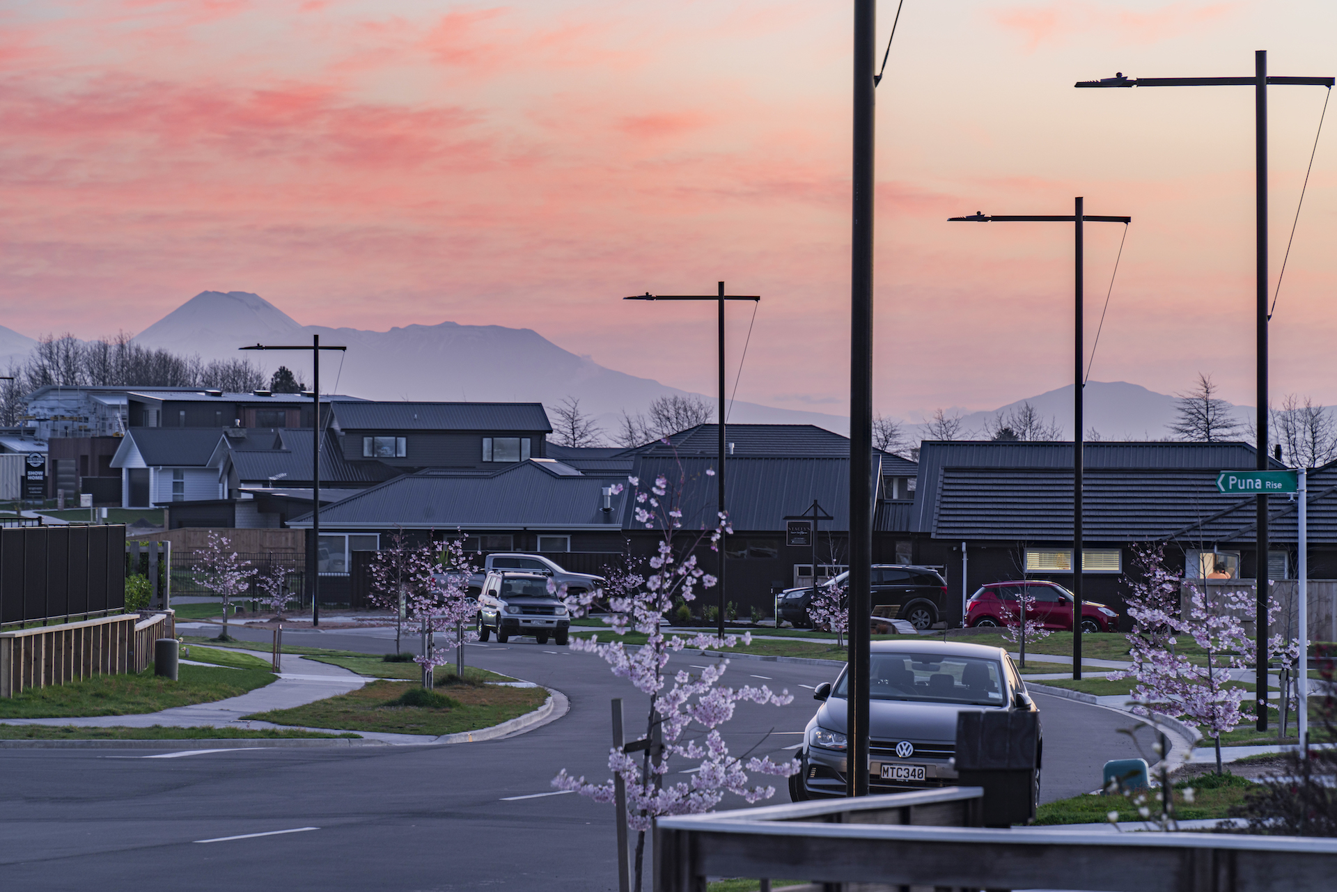 Ngā Roto Estate neighbourhood road with blossom trees illuminated by ibex lighting solutions.