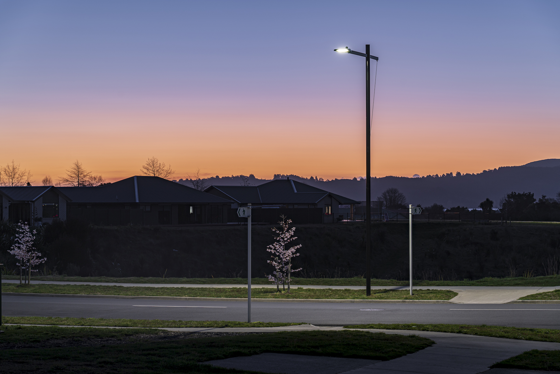 Ngā Roto Estate neighbourhood road at night illuminated by ibex lighting solutions.